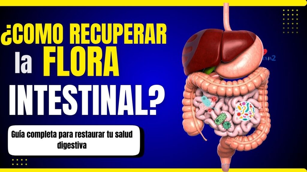cómo recuperar la flora intestinal de manera natural
