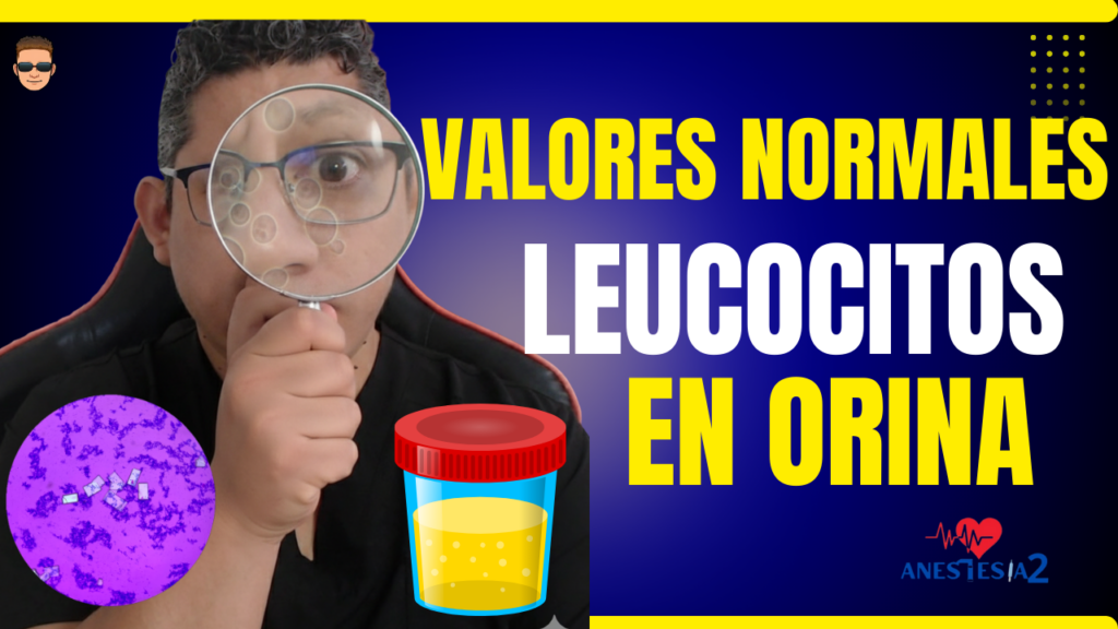 leucocitos en la orina valores normales