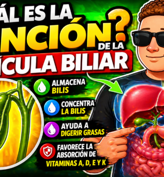 para que sirve la vesicula biliar
