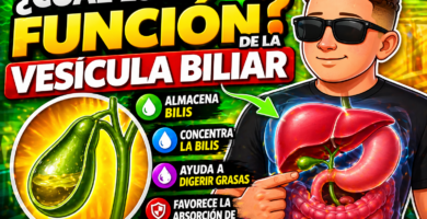 para que sirve la vesicula biliar