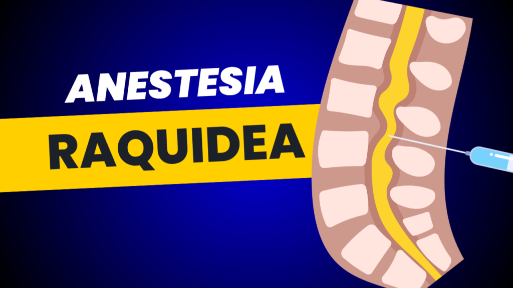 anestesia raquidea
