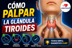 como se palpa la tiroides